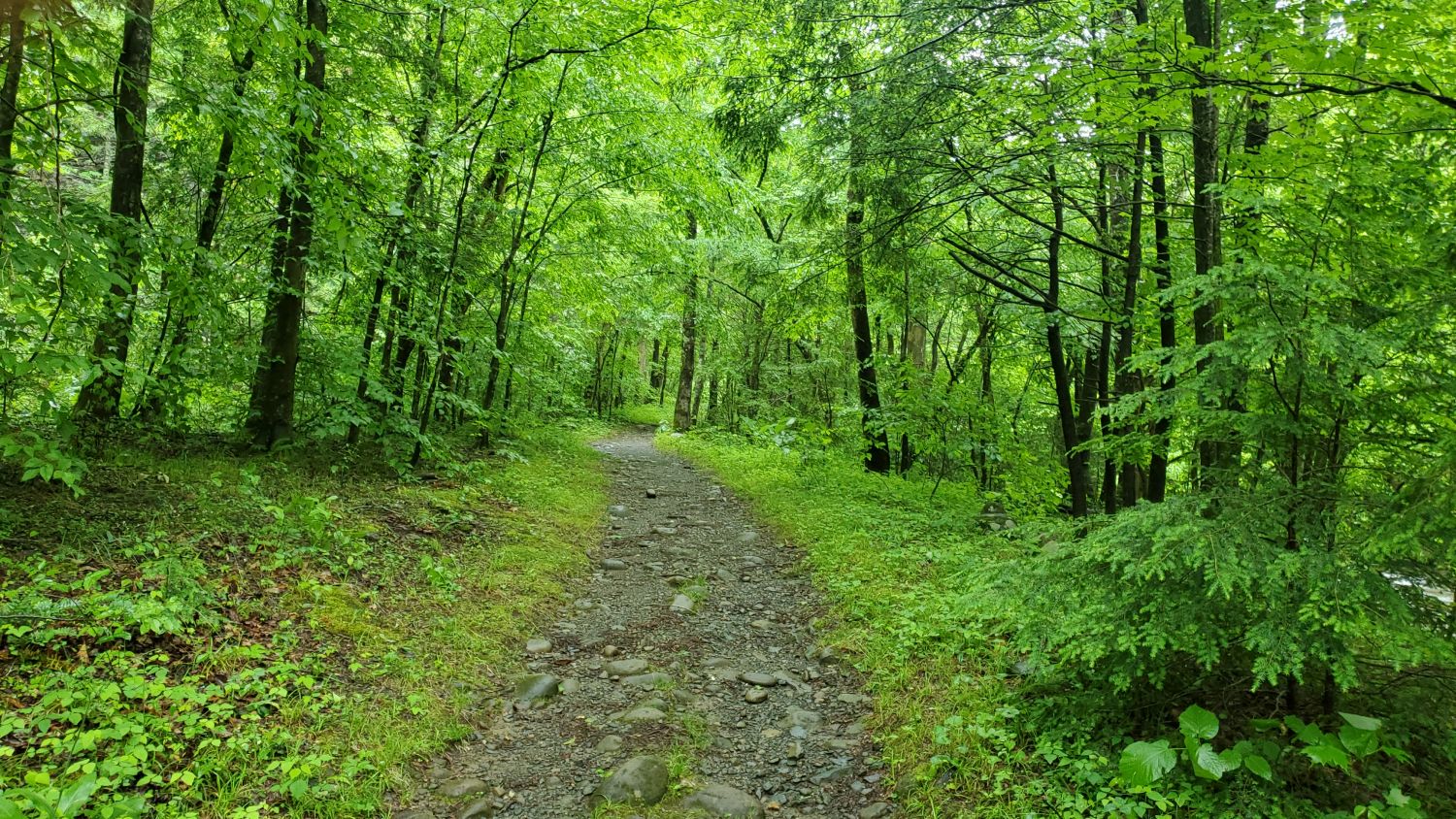 Old Sugarlands Trail 